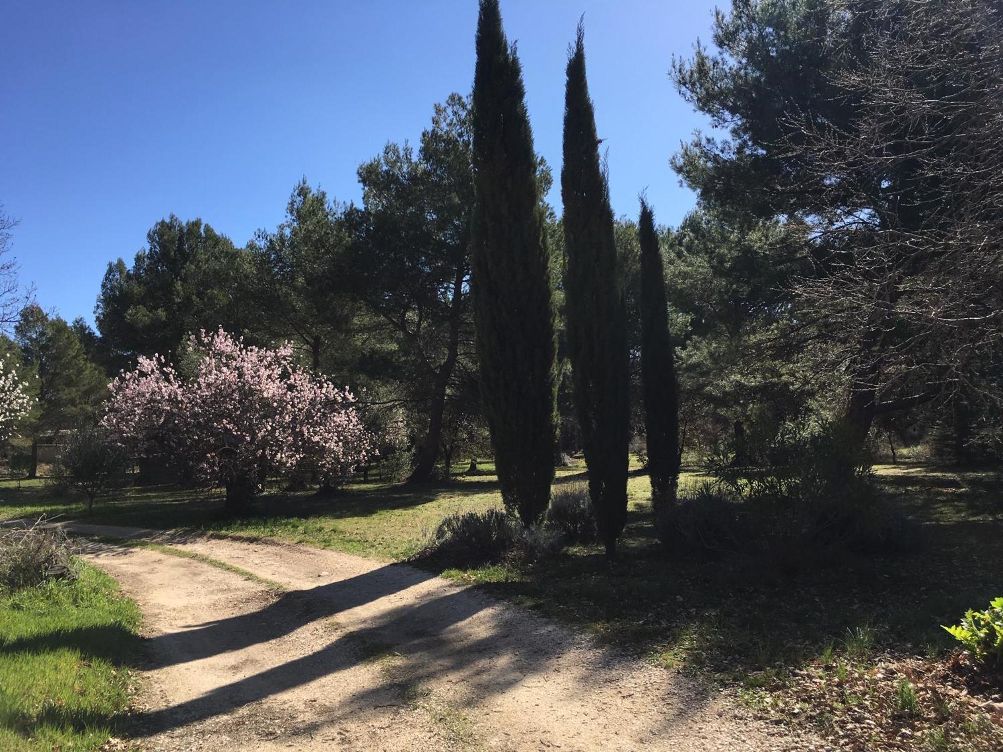Appartamento Le Domaine De Gaia Aix-en-Provence Esterno foto