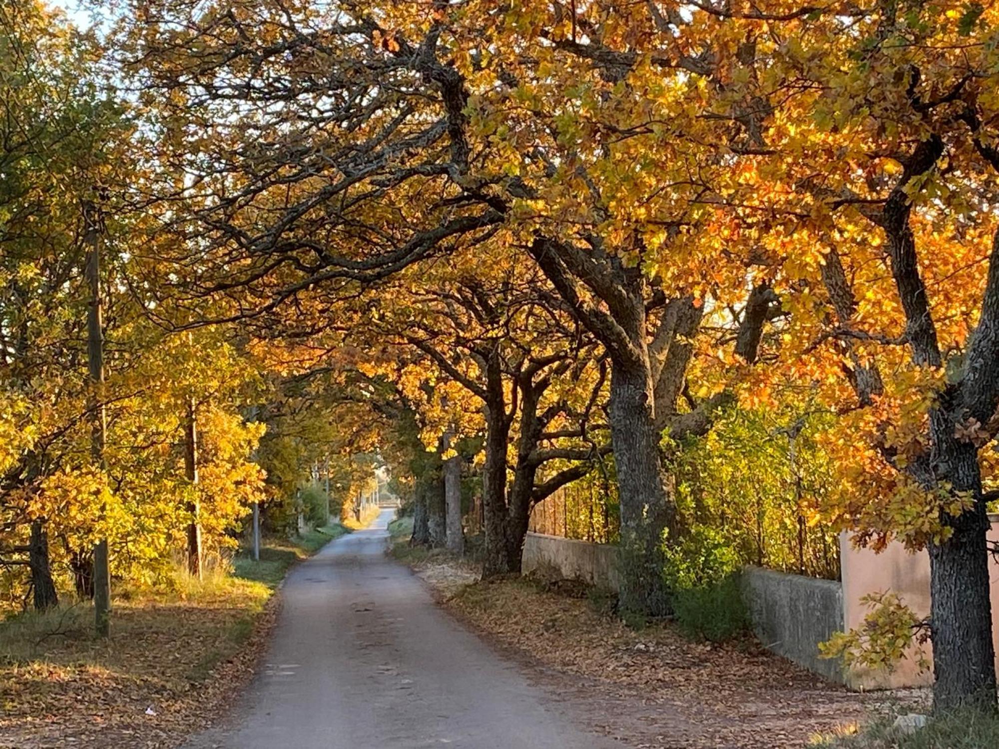 Appartamento Le Domaine De Gaia Aix-en-Provence Esterno foto